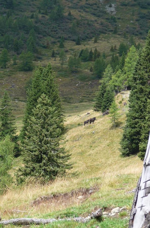 Ferienhaeuser Troester Бад-Кляйнкірхгайм Екстер'єр фото